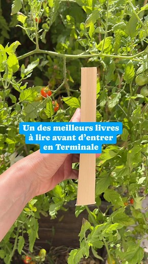Amélie Vioux on Instagram: "Conseil de lecture pour mieux aborder la #philosophie en Terminale ! ✨ Cet ouvrage retrace l’histoire de la philosophie. Il est passionnant. Idéal également si vous souhaitez améliorer votre culture générale ou si vous envisagez #sciencepo #lycee #lycée #bac #bacdephilo #bacdefrançais #bookstagram #lecture #culturegenerale"