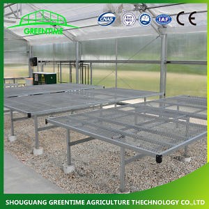 [Hot Item] Mesh Rolling Benches for Commercial Greenhouse Benches for Agricultural Planting