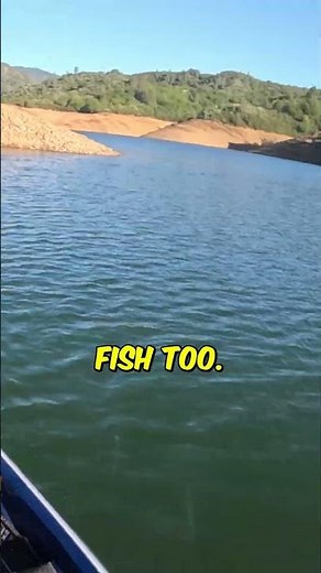 🔥 Heart-Stopping 💣 Buzzbait Blowup at Lake Shasta!