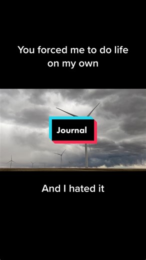 Emotional Reporter on TikTok