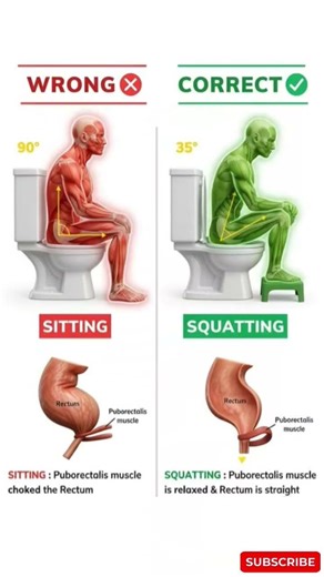 Best Toilet Posture for Easier Bowel Movement | Sitting vs Squatting Explained | USA Guide