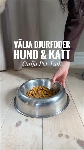 6 råd för rätt foder till din katt eller hund