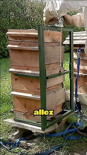 Comment agrandir sa ruche warré simplement #ruchewarre #apiculture #abeilles