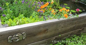 How to Build a Pond in a Raised Garden Bed — Empress of Dirt
