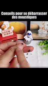 367K views · 2.7K reactions | Conseils pour se débarrasser des moustiques 烈 | Vidéos Monde | Facebook
