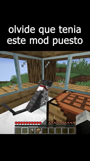 olvide que tenia este mod puesto #minecraft #minecraftmemes #fypシ゚ #reels | HiAngeel