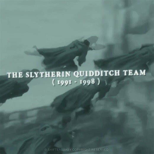 Harry Potter Desired Reality: Quidditch House Cup Wins