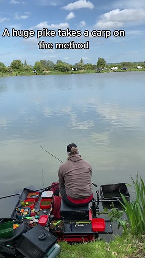 Dynamite Baits on TikTok