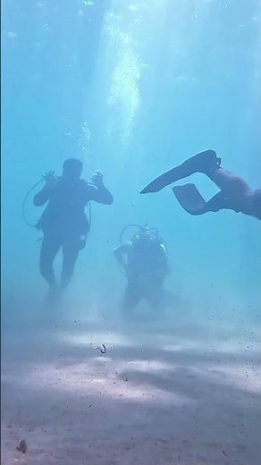 #learntoscuba #scubalessons #scubaclass #discoverscuba #PADITraining #scubabeginners #floridascuba