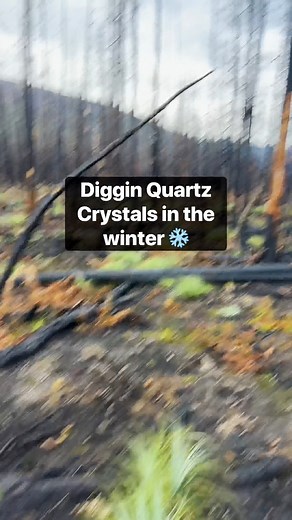 83K views · 700 reactions | Digging Quartz Crystals In Winter ❄️ Episode 16 out now! Watch the whole video on our YouTube! Link! https://youtu.be/a9ys73AFQlU?si=oJL0NNcixlLReFhi #crystals #winter #family #fun #reels #positivity #youtube | The Crystal Hunters | Facebook