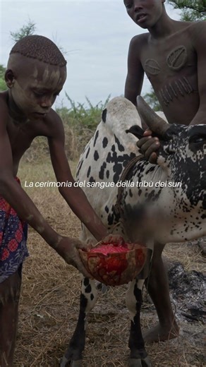 The Blood Ceremony of the Suri Tribe