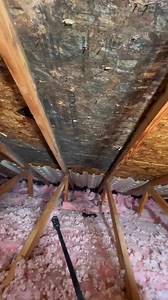 2.8K views · 10K reactions | Contractor-Grade formula destroying mold in seconds ⁠ ⁠ Click the link in our bio or visit rmrsolutions.com to grab your RMR products now ☝⁠ ⁠ #rmr #rmrsolutions #mold #moldremoval #moldremediation #homecleaning | RMR Solutions, LLC | Facebook