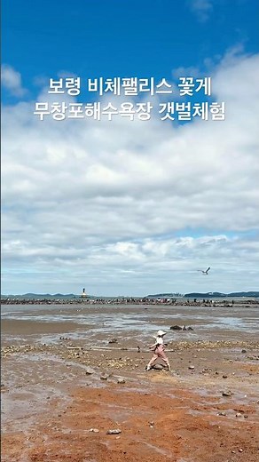 보령 비체팰리스🦀 #갯벌체험 #무창포해수욕장 #보령여행 #신비의바닷길 #가족여행 #꽃게 #가슴장화 #비체팰리스 #예준이유튜브 #예준이 #예준데이