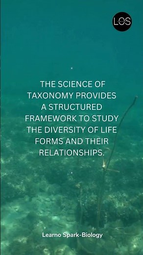 Introduction to Taxonomy | The Living World | Class11 Biology
