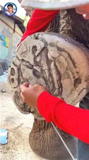 The 5 Most DANGEROUS Animals (TESTED)