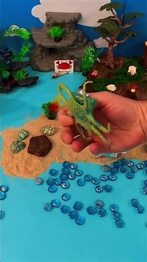 The Master of Disguise! A Mimic Octopus Unboxing