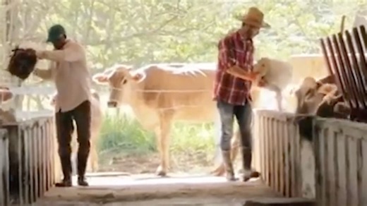 Nick Johnson explored the heart of rural American culture across the country