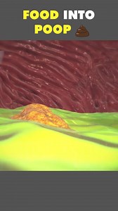 4.1K views | How Food Is Converted Into Poop Inside Human Body  #digestivesystem #digestion #humandigestivesystem #foodintopoop #poop #stomach #largeintestine #smallintestine #digestionoffood #medical3danimation #3dmedicalanimation | Mix Dancing Events | Facebook