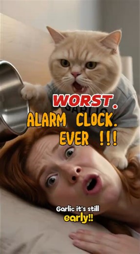 Garlic the Cat's 5 AM Wake Up Call #funnycats #funnyanimals #aicats #viralpets #ultrarealistic #cat