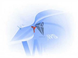 Windows XP Animation in 4k