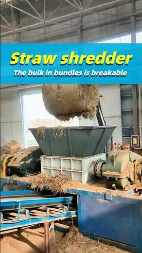 Rice Straw Shredder Efficiently Processes Agricultural Waste #strawshredder #strawcrusher #shredder