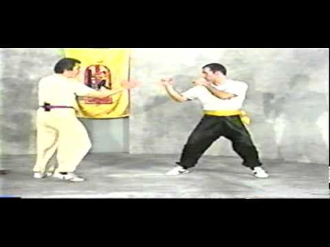 Wing Chun William Cheung Wooden Man