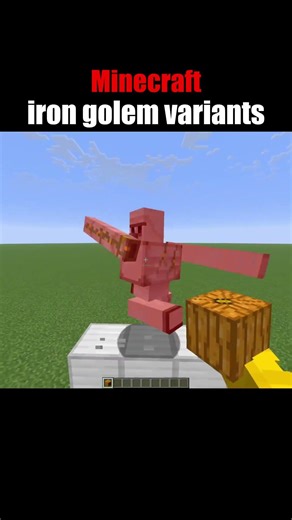 Minecraft Iron Golem Variants You Didn’t Know 😱 | Best Golem Builds!