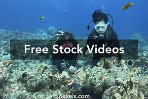 couples%2Bhaving%2Bintercourse