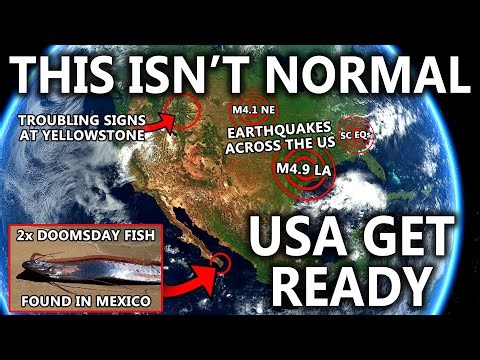 TWO DOOMSDAY FISH Wash Ashore Mexico ⚠️ All Signs Point to a Something BIG Coming Soon...