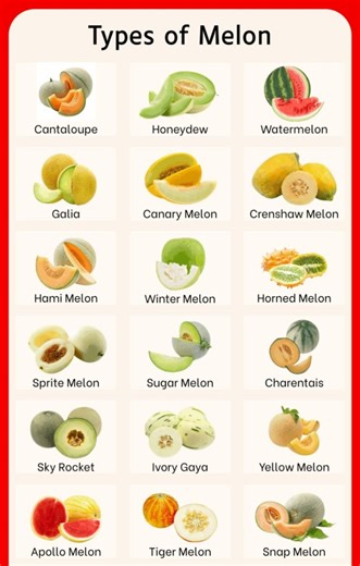 Know Types of Melon 👇👇 #foodlover #fruits #viralreelschallenge2025viralreelschallengejaiviralreelschallengeviralreelschallenge #fblifestyle | Good Food