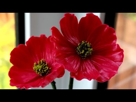 Gumpaste Cosmo Flower Tutorial Cake Decorating #Gumpastecosmo #Fondantcosmo #Cosmflowertutorial