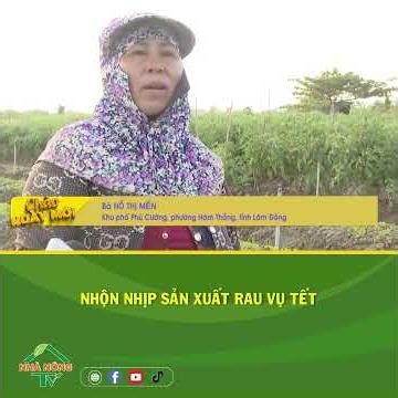 Bustling vegetable production for the Lunar New Year season.