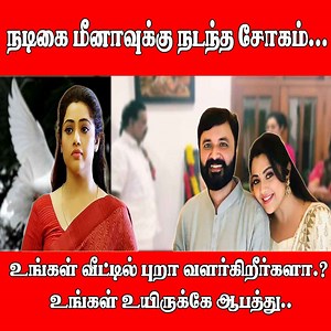 2.1M views · 19K reactions | நடிகை மீனாவுக்கு நடந்த சோகம்... உங்கள் வீட்டில் புறா வளர்கிறீர்களா.? உங்கள் உயிருக்கே ஆபத்து.. | Dinaseval Digital News | Facebook