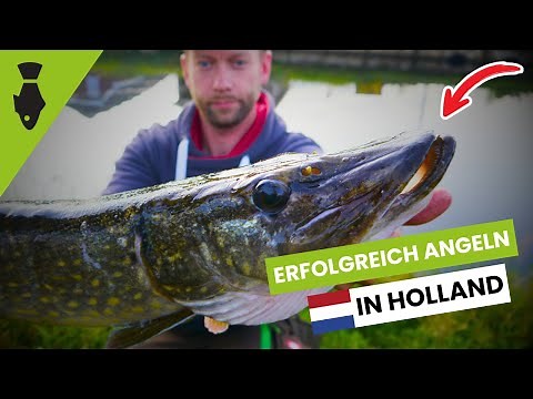 Erfolgreich Angeln in Holland - Folge 1: Spinnfischen auf Hecht und Barsch