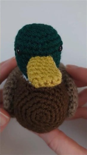 Crochet this cute mallard duck with me