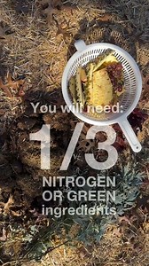 Hot composting and cold composting. Totally different processes and end products. One kills weed seeds, pathogens and parasites. One does not. The product you are looking for and how you intend to use it will determine the process. Reposted from @axeandroothomestead 🔥 HOT COMPOSTING - You will 2/3 carbon (brown) 1/3 nitrogen (green) ingredients. - Balance of nitrogen, carbon, aeration, moisture by tarping to trap heat and turning as needed. - If not in a wet climate, add water - Turn as needed,