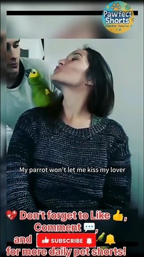 Heartwarming Moments Between Birds and Humans | Unbelievable Animal Friendship