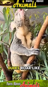 A discussion on animals that produce the scariest sounds, along with interesting facts about them. #Lifestyle #facts #about #animals #nature | Facts about Animals