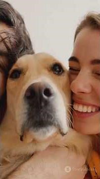 What's the RIGHT Way to Bathe Your PET?