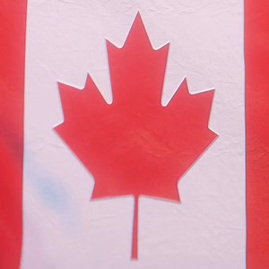 Heads Up, Canada! Alliant Power Lands in Milton, Ontario. Opening May 13, 2024, Our new facility brings: Faster parts delivery & wider selection of top-notch parts to keep your diesel engines running! Alliant Power Canada offers: Everything you need: Parts for light, medium & heavy-duty trucks, off-highway equipment, and school buses! ⛏️ Peak performance parts: Fuel systems and engine components designed for maximum efficiency. ✊ Expert advice: Our diesel gurus are here to answer your questions 