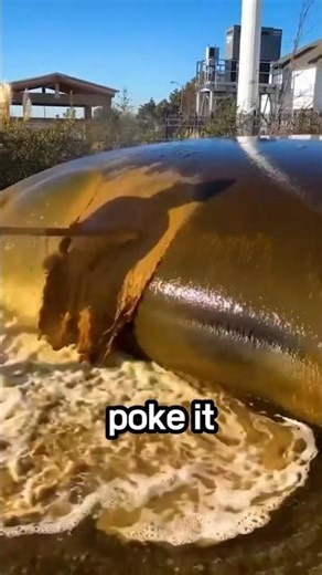 ​The Forbidden Waterbed 🌊🛏️