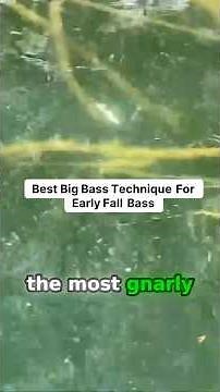 Big Bass Tip For Early Fall