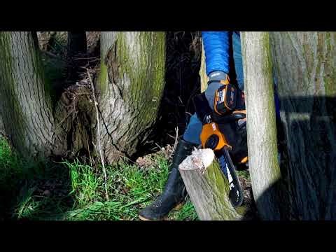 Высоторез Worx WG349E