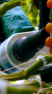 1.8K views · 38 reactions | Discover the future of farming with...