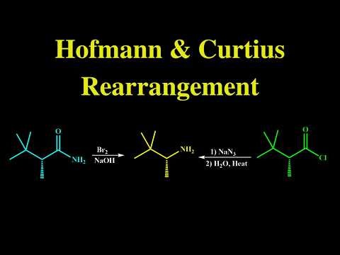 Hofmann & Curtius Rearrangement Explained: Mechanisms and Product Prediction