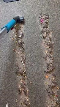 Cleaning up lines of NDM with sharks upholstery tool #vacuumasmr #vacuum #oddlysatisfyingvideo