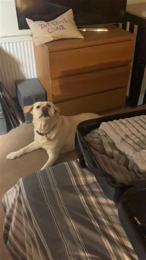 With Storm Goretti due to hit the area Thursday evening into Friday, the start of Lucy’s holiday has been brought forward from Saturday to Wednesday. Lucy gets to stay on a working farm in the middle of nowhere; somewhere we’re not going to reach with the predicted amount of snow. Talking of which, we have no plans to close the shop as of yet. We will play it by ear and will let you know one way or the other if you’re planning to come into town. #greetingcards #cardshop #malvern #malvernhills #w