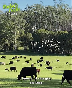 222 reactions · 27 shares | Rachel's Farm is the inspiring story of director and actress Rachel Ward’s journey to regenerate her farm. See it in cinemas now. | Madman Films | Facebook