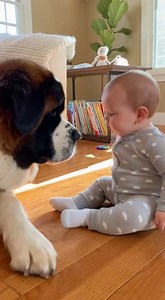 423K views · 16K reactions | 殺 Sweet Snuggles and Big Puppy Kisses #InfantLove #DogKisses #AnimalTherapy #BestDogEver #SaintBernardLife | Paws & Peanuts | Facebook