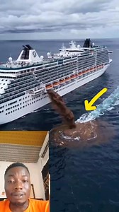 How ship 🚢 disposed their waste inside the sea to feed fish | Ogwonigho tv fans page